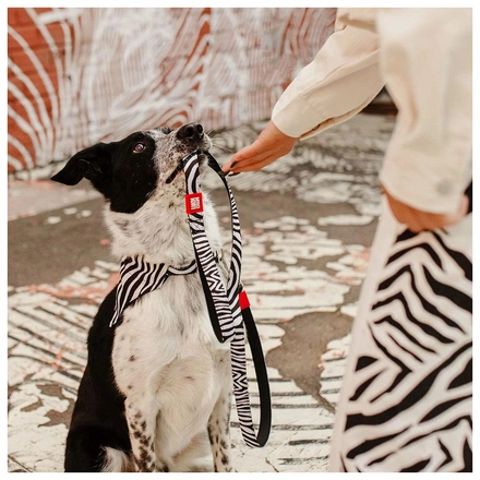Max & Molly - Trela Multi "Zebra"