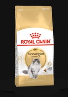 Royal Canin Gato FBN Norvergian FC
