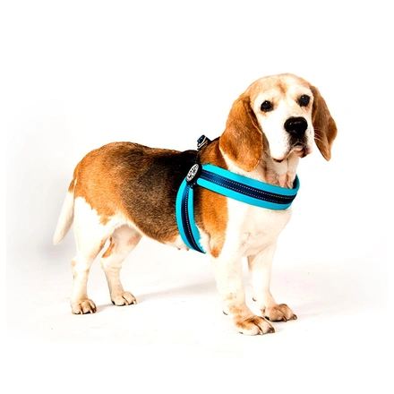 Max & Molly - Peitoral Q-Fit "Matrix Sky Blue" - Azul