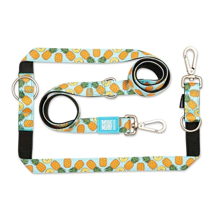 Max & Molly - Trela Multi "Sweet Pineapple"