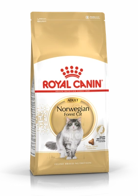 Royal Canin Gato FBN Norvergian FC