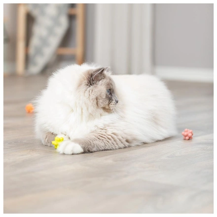 Satélites Em Plástico Para Gatos (4 Unidades)