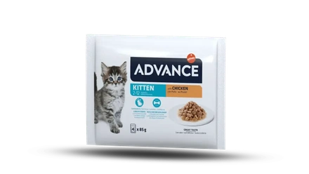 Advance Cat Wet Kitten Chicken Multipack