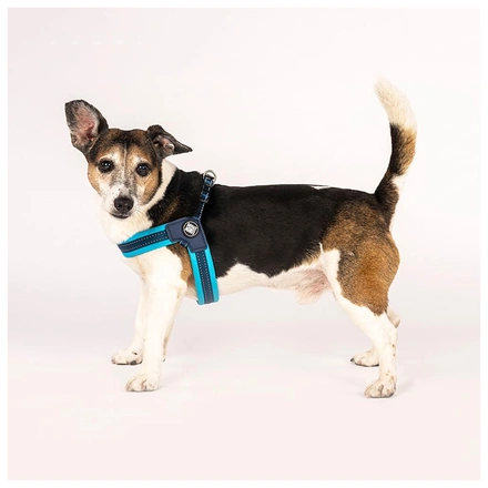Max & Molly - Peitoral Q-Fit "Matrix Sky Blue" - Azul