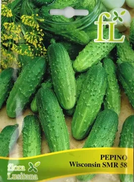 Pepino Wiscosin SMR 58 - 10gr