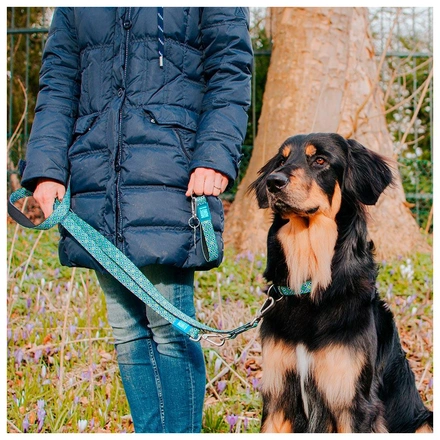 Max & Molly - Trela Multi "Retro Blue"