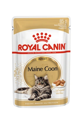 Royal Canin Gato Mainecoon 12*0,085kg