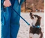 Max & Molly - Trela Multi "Matrix Sky Blue" - Azul