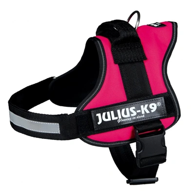 Peitoral "Julius-K9" - Fuchsia