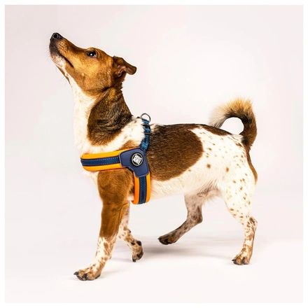 Max & Molly - Peitoral Q-Fit "Matrix Orange" - Laranja