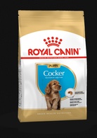 Royal Canin Cão BHN COCKER PUPPY 3KG