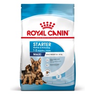 Royal Canin Cão SHN MAXI STARTER M&B
