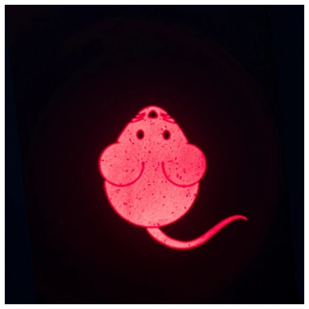 Apontador Led "Catch The Light Rato" Usb