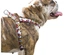 Snoopy - Peitoral (Stripe)