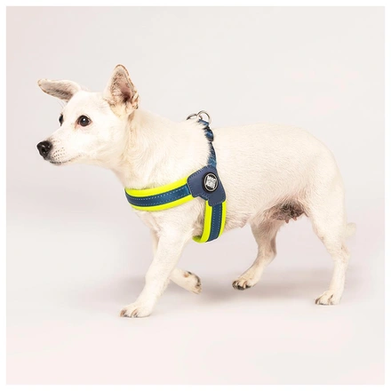 Max & Molly - Peitoral Q-Fit "Matrix Yellow" - Amarelo