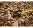 Fita Longa Fibra De Vidro Aberta Power Winder100M Stanley 2-34-777