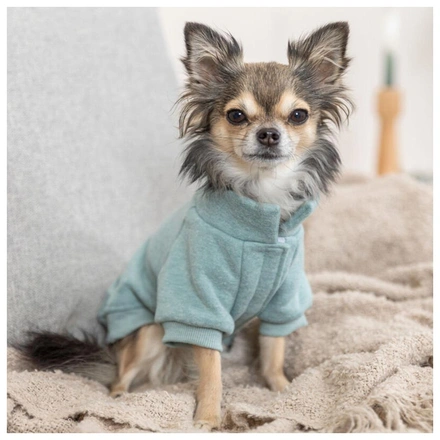 Sweatshirt "Littleton" Para Cães