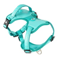 Max & Molly - Peitoral Sport "Matrix 2.0" - Turquesa