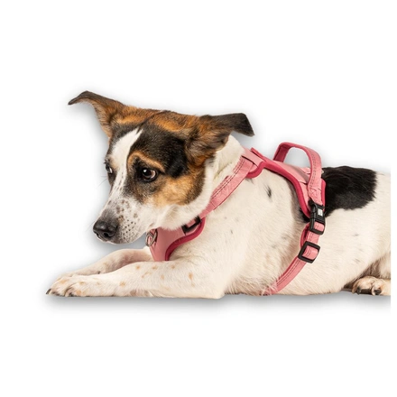 Max & Molly - Peitoral Sport "Matrix 2.0" - Rosa