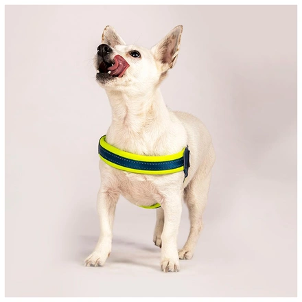 Max & Molly - Peitoral Q-Fit "Matrix Yellow" - Amarelo