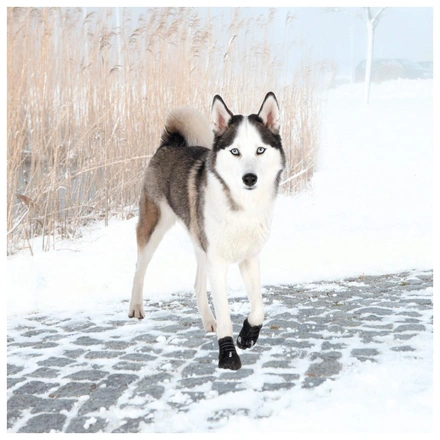 Bota Protetora "Walker Active" Para Cães