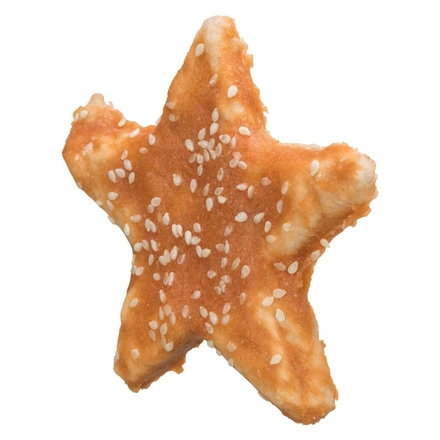 Dentafun - Chicken Star