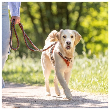 Peitoral "Premium Active" - Ferrugem