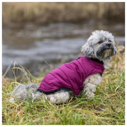 Capa "Arlay" Para Cães - Rosa Escuro