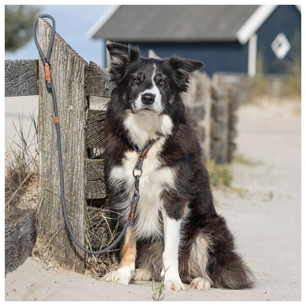 Trela "Be Nordic" - Cinza