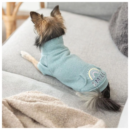 Sweatshirt "Littleton" Para Cães