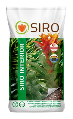 Siro Interior - 11lts