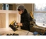 Pregadora Pneumática Brad 18GA 15–50mm com Mala DEWALT DPN1850PP-XJ