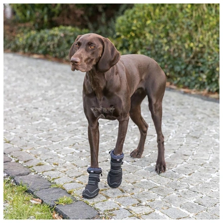 Bota Protetora "Walker Active Long" Para Cães