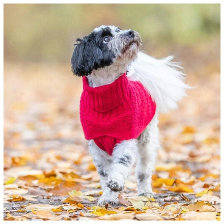 Camisola "Norwood" Para Cães - Vermelho