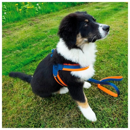 Max & Molly - Peitoral Q-Fit "Matrix Orange" - Laranja