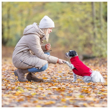 Camisola "Norwood" Para Cães - Vermelho