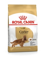 Royal Canin Cão BHN Cocker