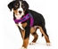 Max & Molly - Peitoral Q-Fit "Matrix Pink" - Rosa