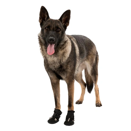 Bota Protetora "Walker Active" Para Cães