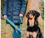 Max & Molly - Trela Multi "Retro Blue"