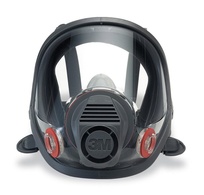 Mascara Integral 3M Serie 6000