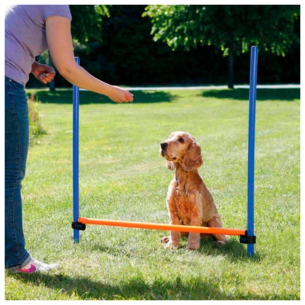 Barreira Para Agility