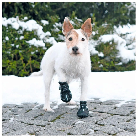 Bota Protetora "Walker Active" Para Cães