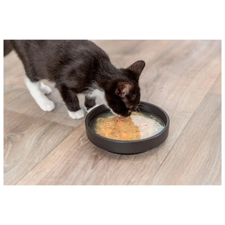 Sopa De Salmão Com Frango