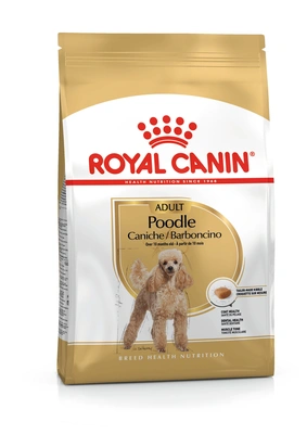 Royal Canin Cão BHN Poodle