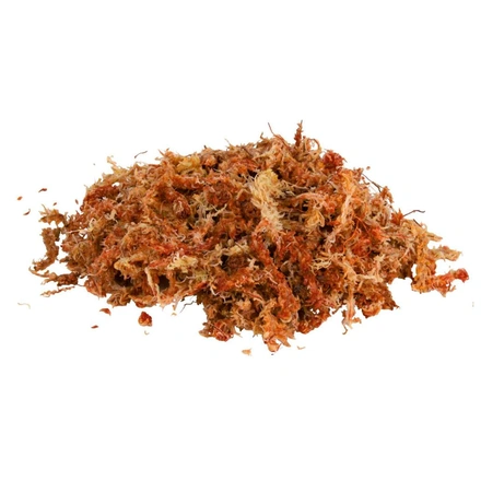 Musgo "Sphagnum" - Substrato Tropical