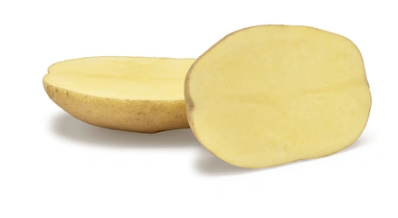 Batata Semente Agria