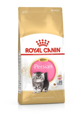 Royal Canin Gato FBN KITTEN PERSIAN