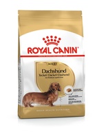 Royal Canin Cão BHN Dachshund