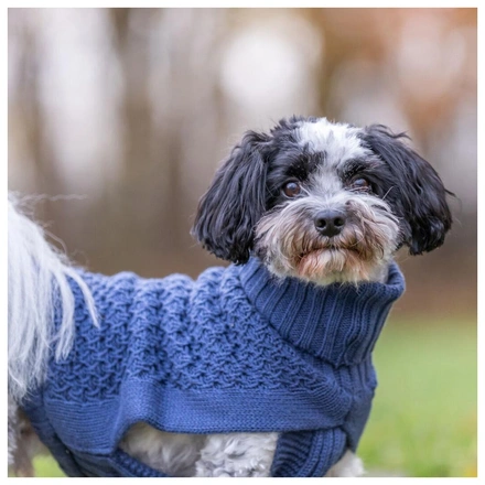 Camisola "Norwood" Para Cães - Azul